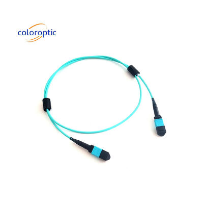 MTP (MPO) 12 FIBRE PATCH CABLE OM3 (50/125) M400 серии США Conec