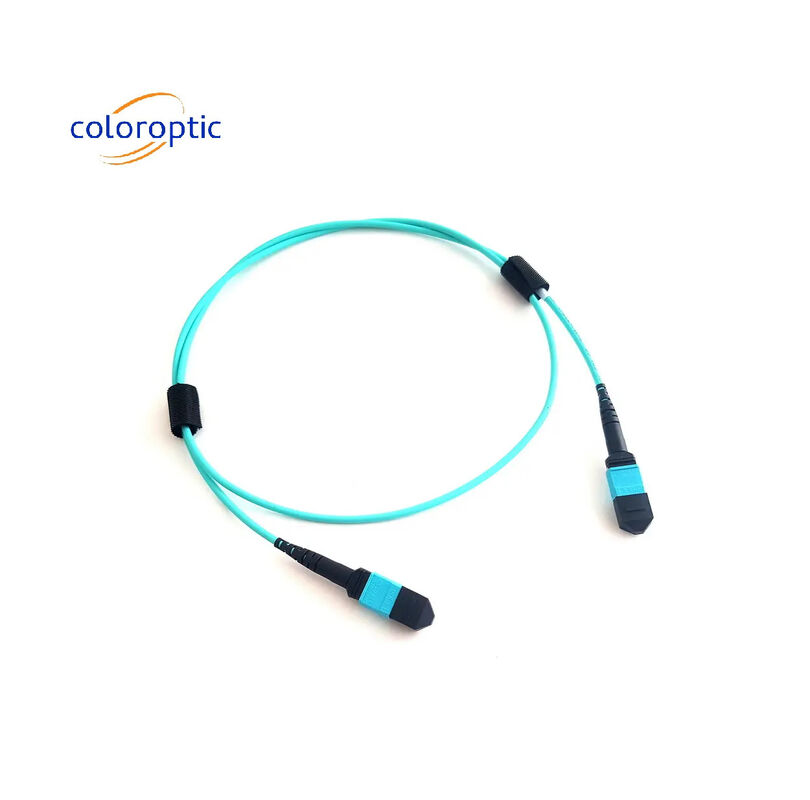 MTP (MPO) 12 FIBRE PATCH CABLE OM3 (50/125) M400 серии США Conec